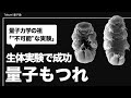 生体で初の量子実験｜微生物クマムシを量子もつれ状態にした結果