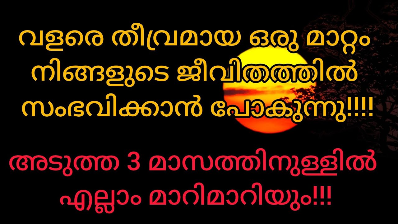 ഡിവൈന് നിങ്ങളെക്കുറിച്ച് ഒരു പദ്ധതിയുണ്ട്, അത് അടുക്കുമ്പോൾ ഈ വീഡിയോ നിങ്ങളിലേക്ക് എത്തും#tarot 