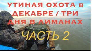 УТИНАЯ ОХОТА в ДЕКАБРЕ часть 2