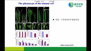 蛋白质组学和翻译后修饰组学在植物学领域中的应用