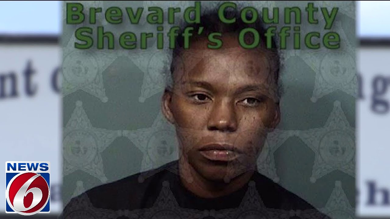 Palm Bay mother charged with lesser offense in baby’s hot-car death ...