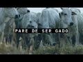 Pare De Ser Gado E Realmente Viva Intensamente