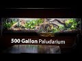 I Built a 500 GALLON PALUDARIUM at Pondemonium
