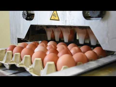 Bio-Initiative: "Wir machen keine Ausnahmen"