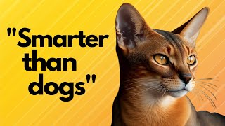 10 Surprising Facts About Cats You (Likely) Didn't Know