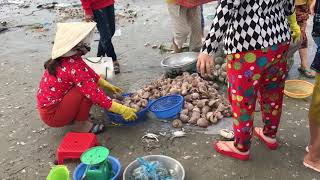 Fishing Village of Mui Ne, Vietnam