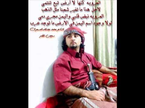 جديد الشاعر محمد عبدالله المسمري بعنوان العصافير ما تلعب على صقر جارح شعر حماس 