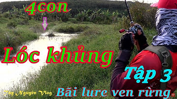 Phát Hiện Bãi Lure Ven Rừng Toàn Hugo, Tập 3 | câu cá lóc tự nhiên