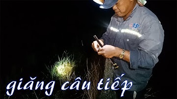 CSRV 91 | GIĂNG CÂU CÁ LÓC với anh Tiền tới 11h đêm kiếm ít con cá để dành ăn