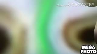 Gummy Bear Meme Effects Sponsored By Niwoteakym Effects