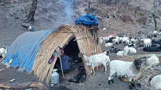 Himalayan Sheep Shepherd Life | Nepal |Shepherd Food Cooking | Peaceful Himalayan Shepherd Life |