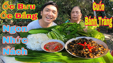 Tiên IQ Cùng Mẹ Làm Món Ốc Đắng Ốc Bưu Xào Cuốn Bánh Tráng Ăn Cùng Huỳnh Như Siêu Ngon Nhức Nách