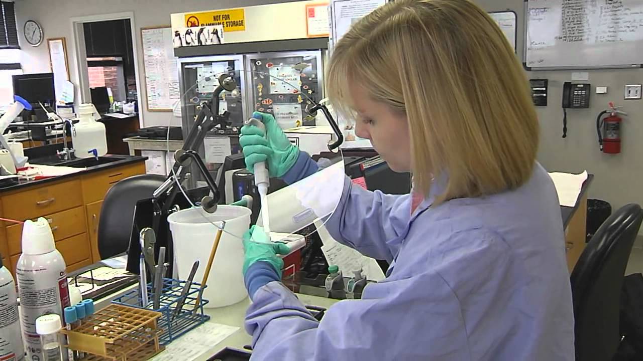 New Research Targets Lung Cancer Cells