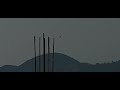 ovni baja a los techos y vuelve a subir no se si sea dron o globo pero ahí esta la evidencia ovni