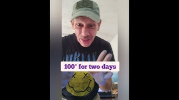 How to Process Black Walnuts #foraging #harvest #food #howto