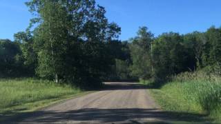 Cruising through Lake Maria State Park