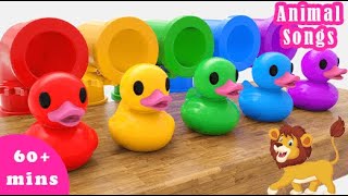 Color Buses & Wheels On The Bus| Songs For Preschoolers And Children| Excavatrice Duck Animals