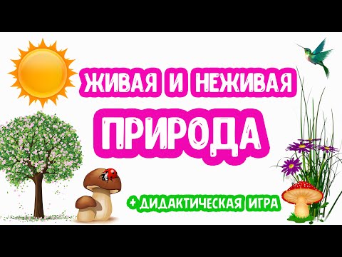 Живая и НЕживая ПРИРОДА развивающее видео, дидактическая игра