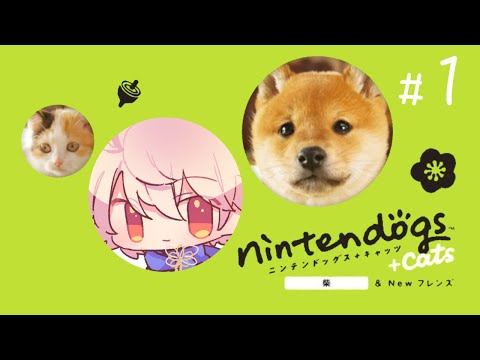 #1【nintendogs + cats】柴犬との暮らし