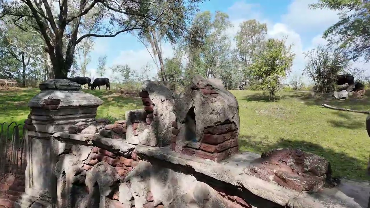 Disney World Animal Kingdom Ep.2 | 디즈니월드 애니멀킹덤 Ep.2