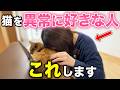 猫好きな人の特徴とあるある行動11選【猫好きの行動心理】