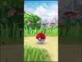 Found another beauty in pokemon Go 🎀♥️ #pokemongo #pocketmonsters