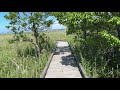【N-VAN旅】春国岱に行ってみた