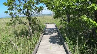 【N-VAN旅】春国岱に行ってみた