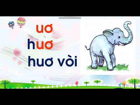 Tiếng Việt 1 - Học vần - Bài uơ - uya