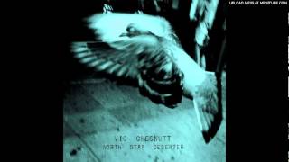 Video thumbnail of "Vic Chesnutt - Glossolalia"