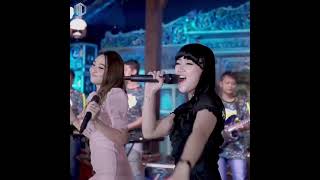 Download Lagu Story w.a dangdut(Aku cah kerjo)mas lungaku ra keket cidro/Difarina indra ft arneta julia//2021 MP3