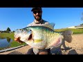 The CRAPPIE of a LIFETIME!!! (INSANE)