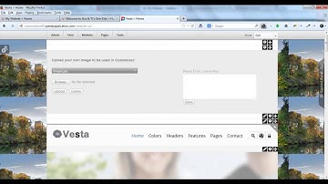 SpeedyApplication.com - Customizer Intro - Vesta DotNetNuke Skin