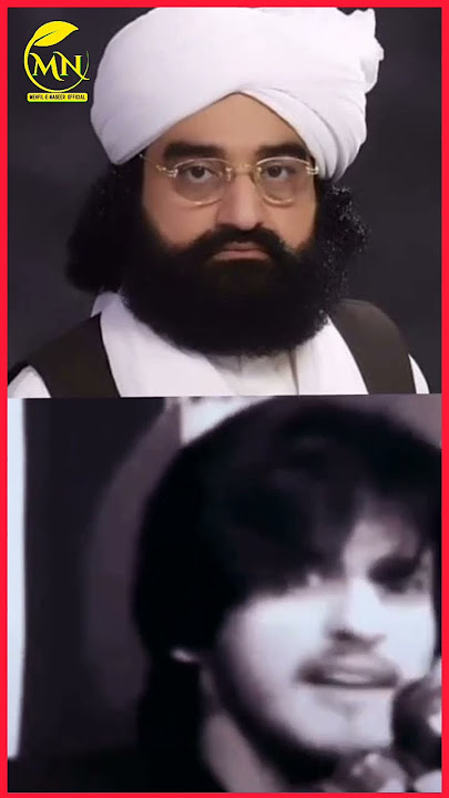 peer naseeruddin naseer or shia zakir