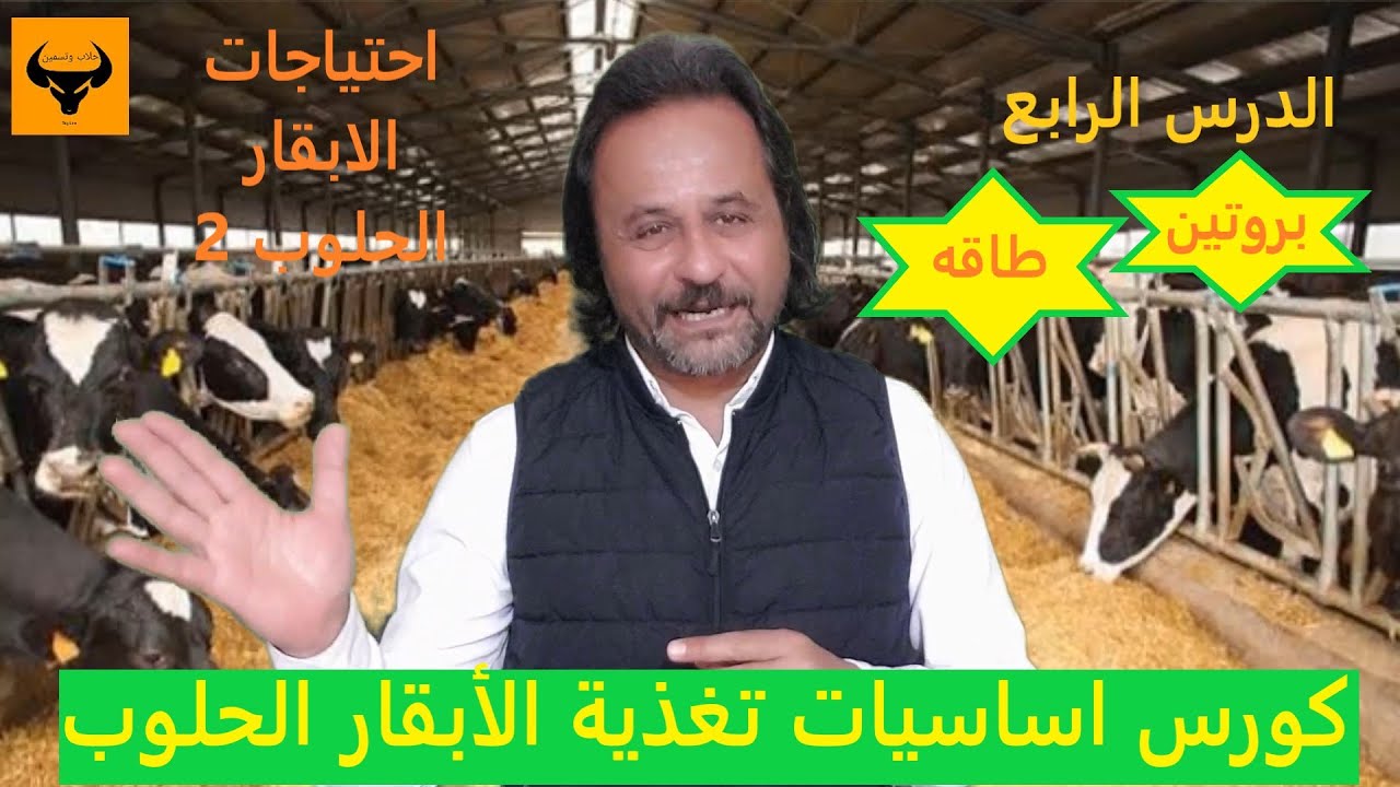 حساب, الاحتجاجات الغذائية للأبقار الحلوب, دورة تدريبية في أساسيات تغذية الأبقار الحلوب, 4