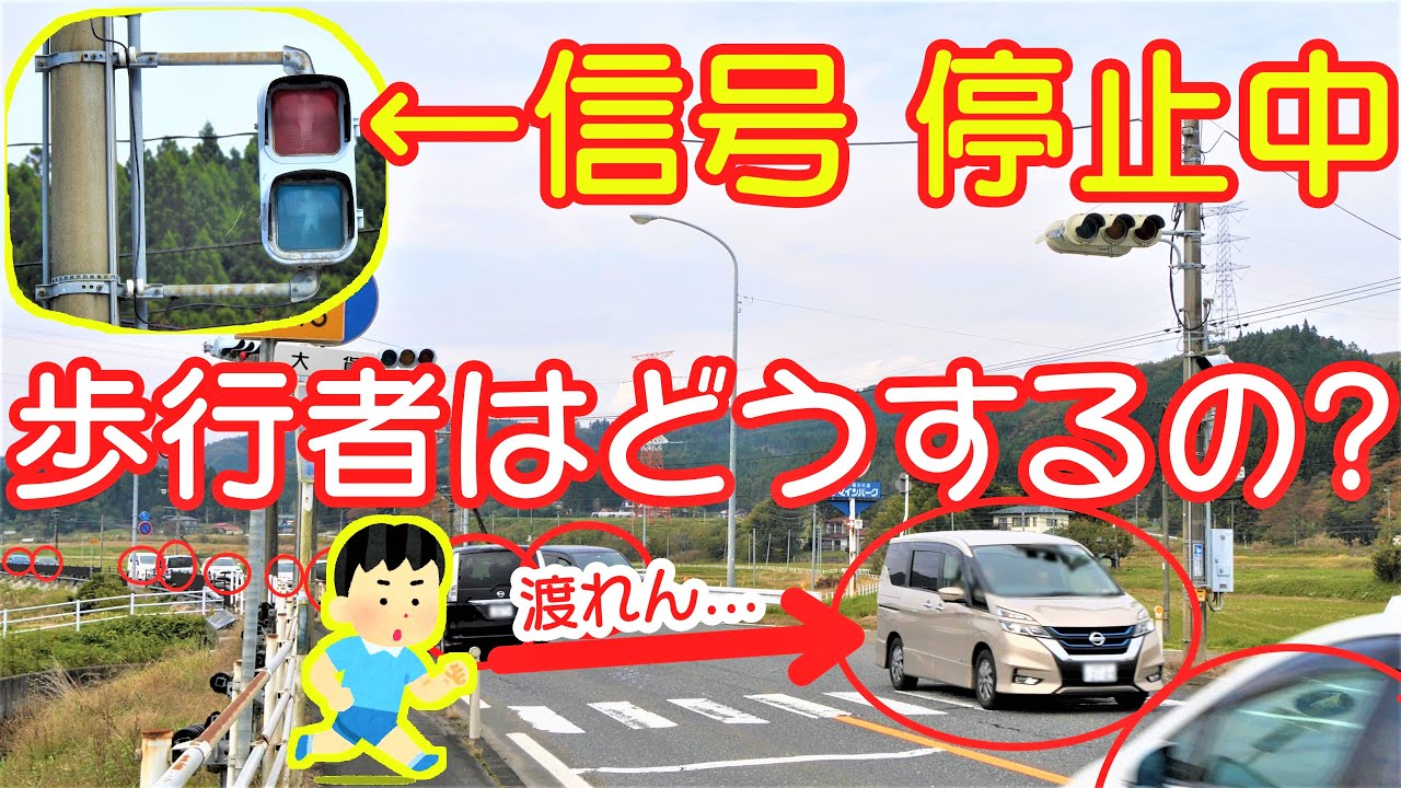 【誰も知らない交通ルール】歩行者信号機が非稼働時は横断歩道で一時停止が必要です。〜ワースト1位の宮城県の実力は？〜【ゆっくり解説&茶番】質問回答コーナーもあるよ！