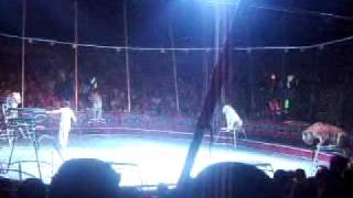 Download lagu Circo Hermanos Valentinos 1 de 13 Circo Hermanos Valentinos 1 de 13