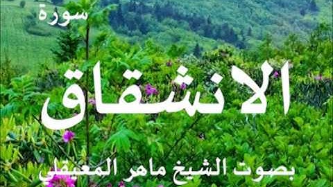 سورة الانشقاق بصوت الشيخ / ماهر المعيقلي 84