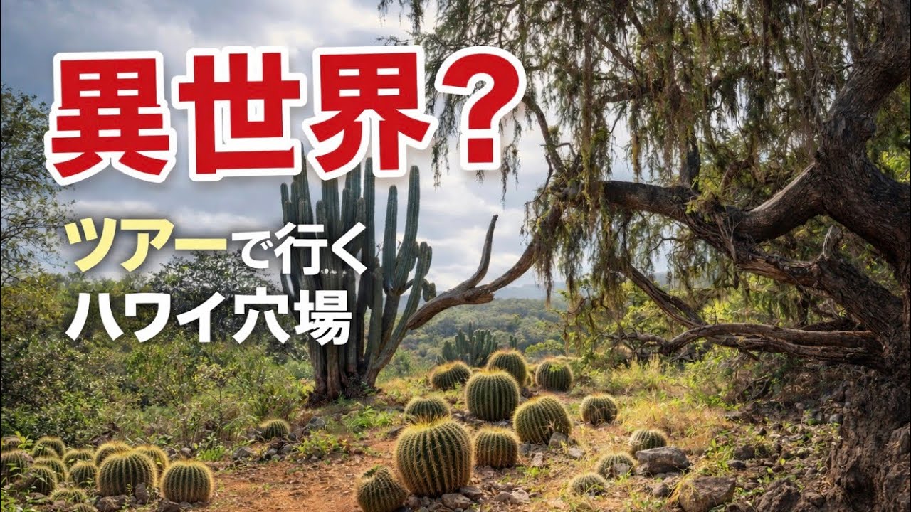 Hawaii's hidden gem] A private tour of Koko Crater Botanical