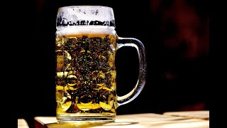 Bierlied - Cover (Robert Pappert)