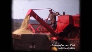 La minute Cinéam 12 - Jour de moisson