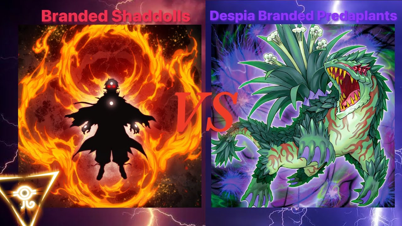 Branded Shaddolls vs Despia Branded Predaplants|Yugioh Project Ignis |My Demise |13 September 2022