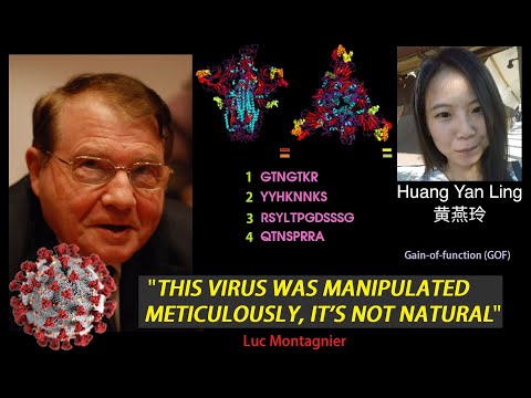 Luc Montagnier HIV Nobel Prize Winner Says Virus "Bio-engineered" in Lab 黄艳玲 17/04/20