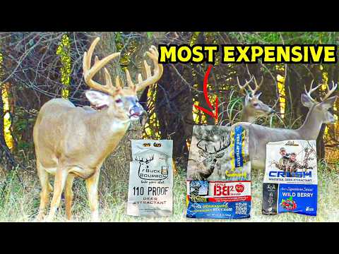 Watch this before Wasting Your Money on Deer ATTRACTANTS.