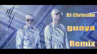 DJ Christian ft. Wisin y Yandel Guaya Remix