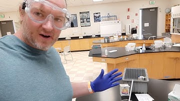 Ester Synthesis How to in the Lab.