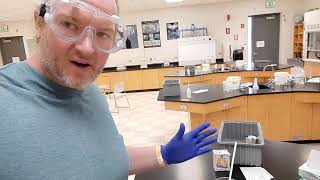 Ester Synthesis How to in the Lab.
