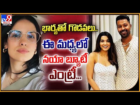 Hardik Pandya and Influencer Prachi Solanki's Viral Photo Fuels Natasha Divorce Rumors