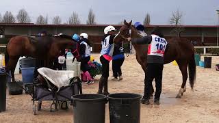 CEI3* (8 feb) | 🏇🏼 Highlights 2025 Feb 🏇🏼 | Generali Endurance