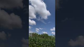 OPPO Reno 14 Pro Video Quality 📷 #oppo #opporeno14pro #nature  12:19 pm. 30 April 2026